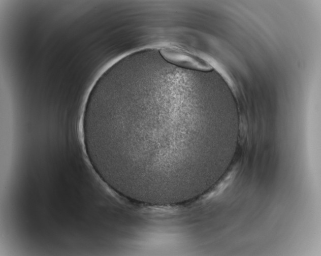 X0000094190959200711091159