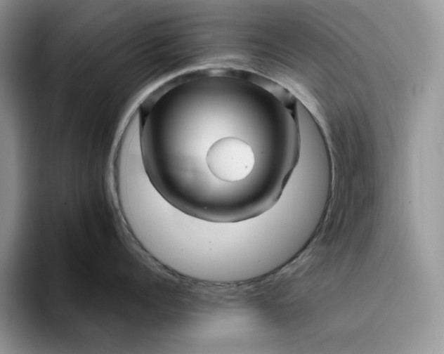 X0000094190960200711091159