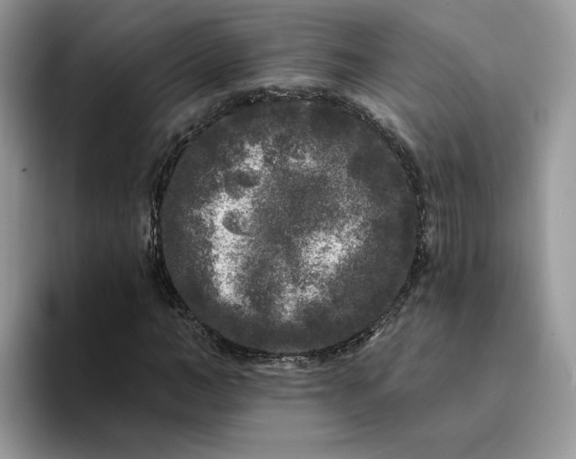 X0000094190966200711091158