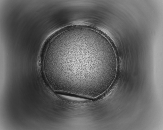 X0000094190971200711091158