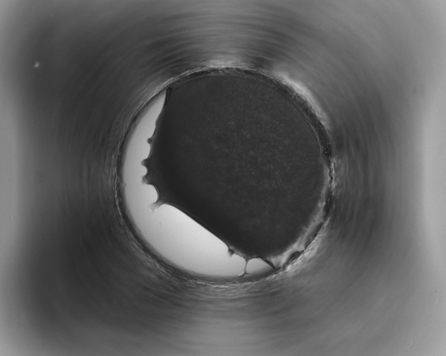 X0000094190977200711091158