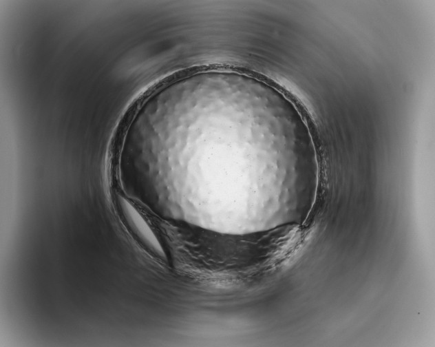 X0000094190983200711091158