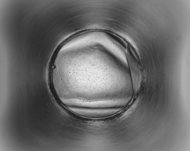 X0000094190991200711091158