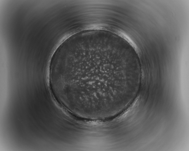 X0000094190994200711091158