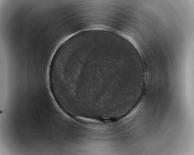 X0000094190995200711091158