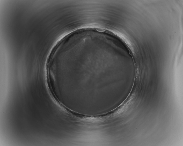 X0000094190998200711091158