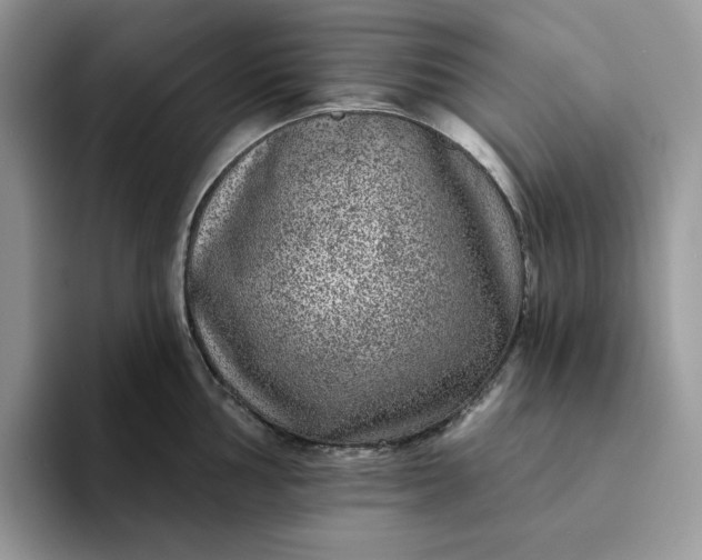 X0000094191002200711091158