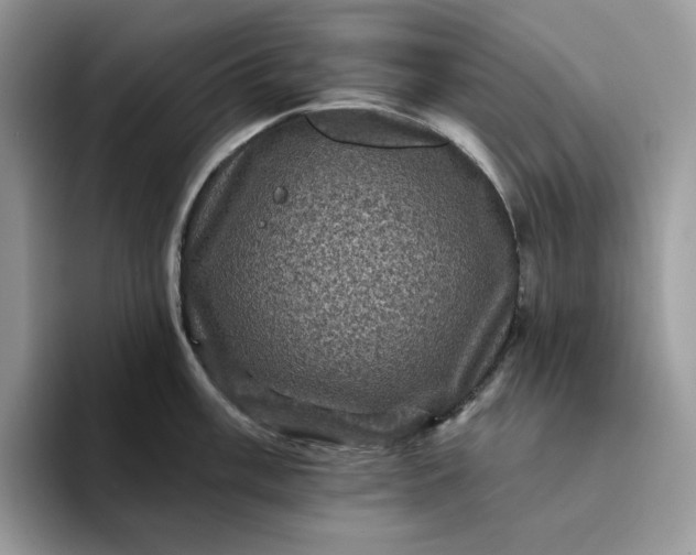 X0000094191003200711091157