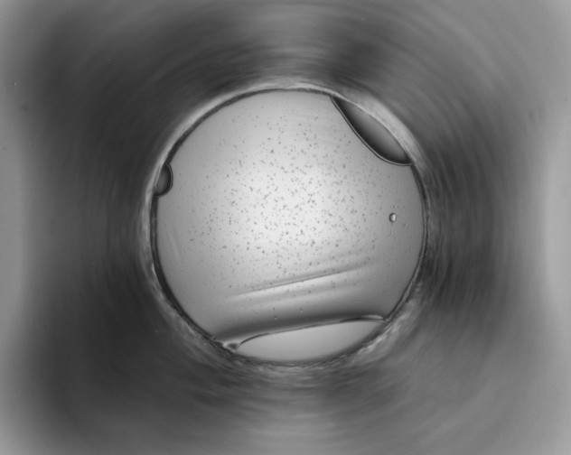 X0000094191004200711091157