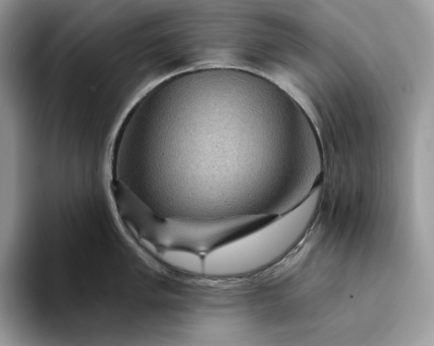 X0000094191005200711091157