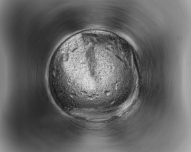 X0000094191007200711091157