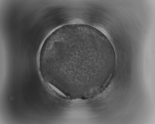 X0000094191008200711091157