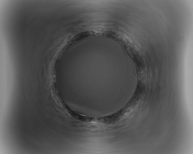 X0000094191009200711091157