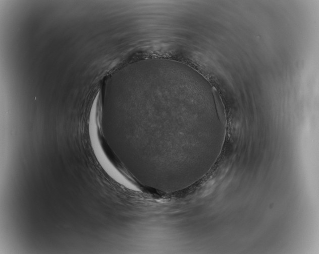 X0000094191010200711091157