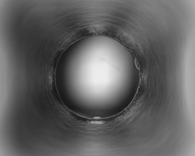 X0000094191012200711091157