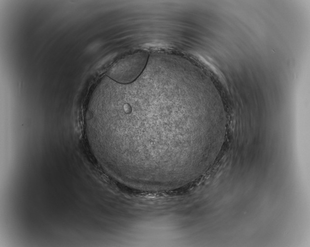 X0000094191015200711091157