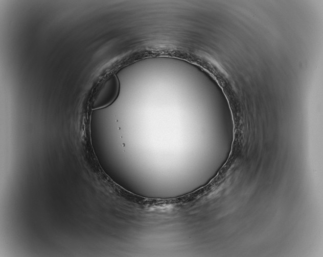 X0000094191016200711091157