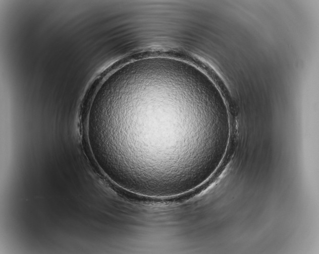 X0000094191018200711091157