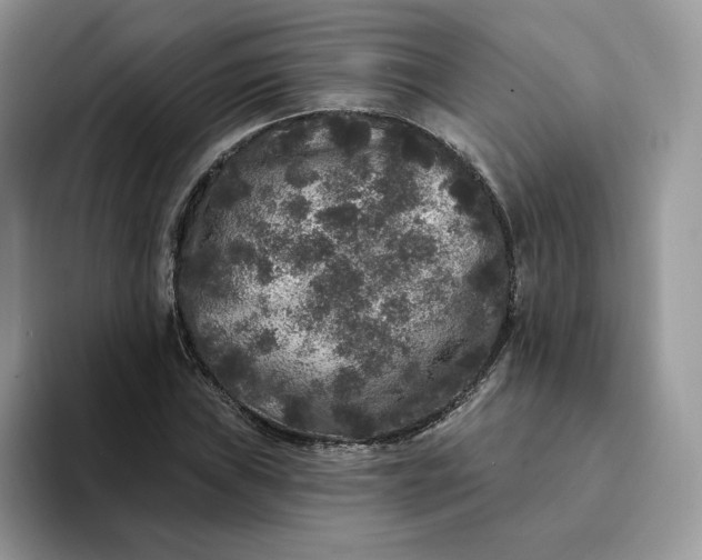 X0000094191019200711091157