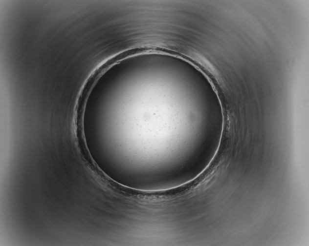 X0000094191020200711091157