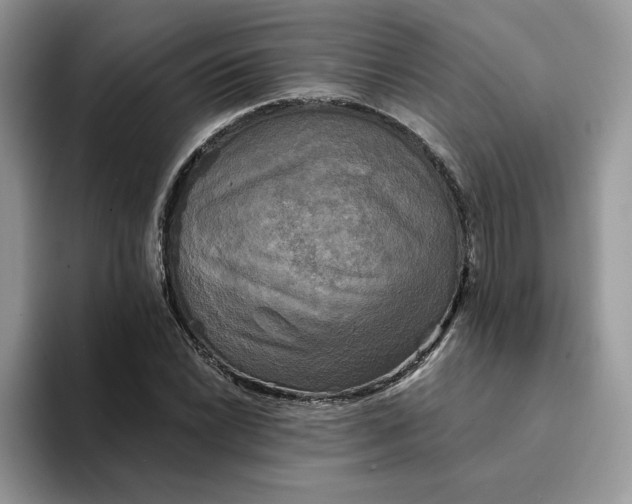 X0000094191022200711091157