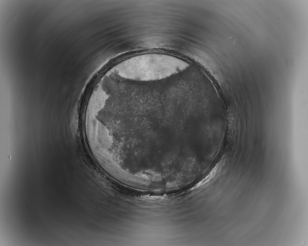 X0000094191023200711091157