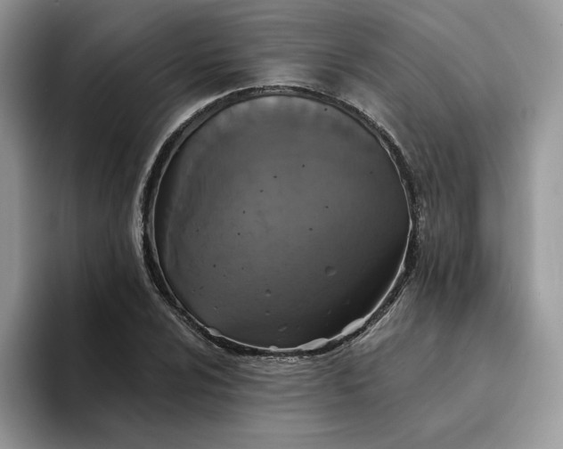 X0000094191024200711091157