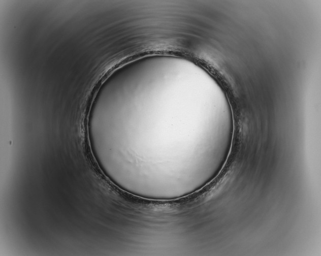 X0000094191025200711091157