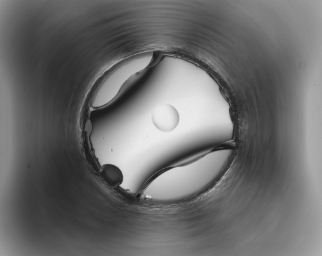 X0000094191026200711091157