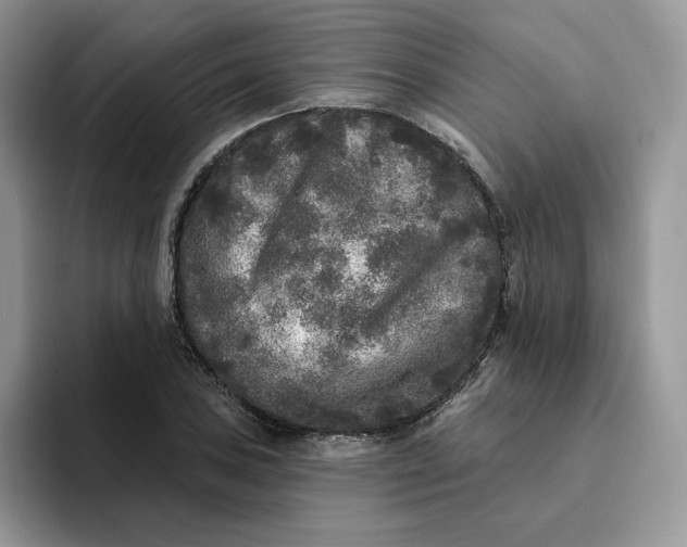 X0000094191027200711091157