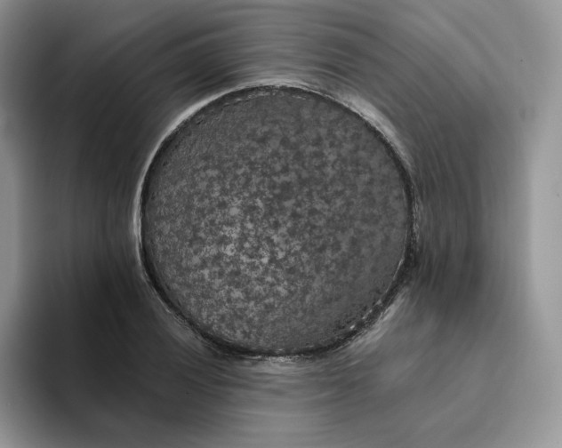 X0000094191028200711091157