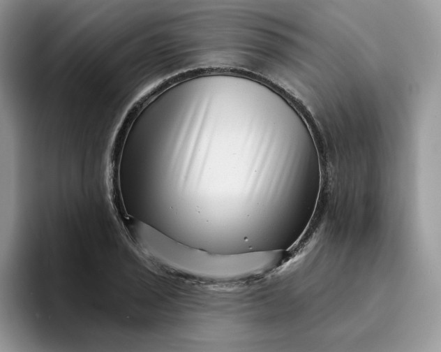 X0000094191029200711091157