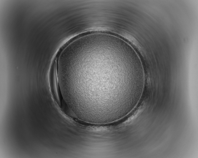 X0000094191030200711091157