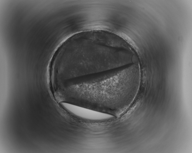 X0000094191031200711091157