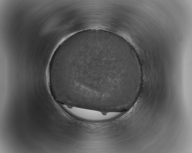 X0000094191032200711091157