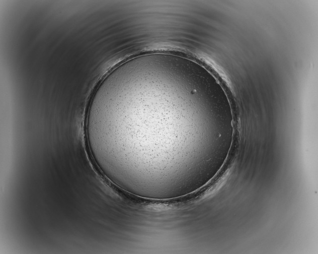 X0000094191033200711091157