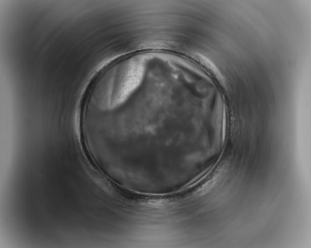 X0000094191035200711091157