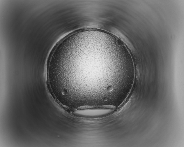 X0000094191036200711091157