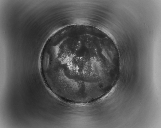 X0000094191037200711091157