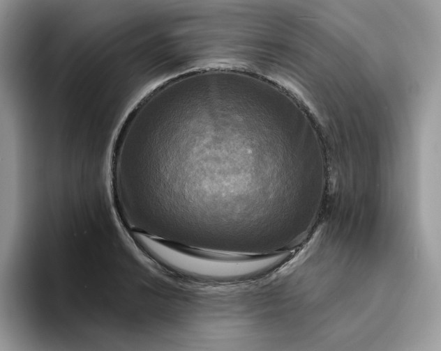 X0000094191038200711091157