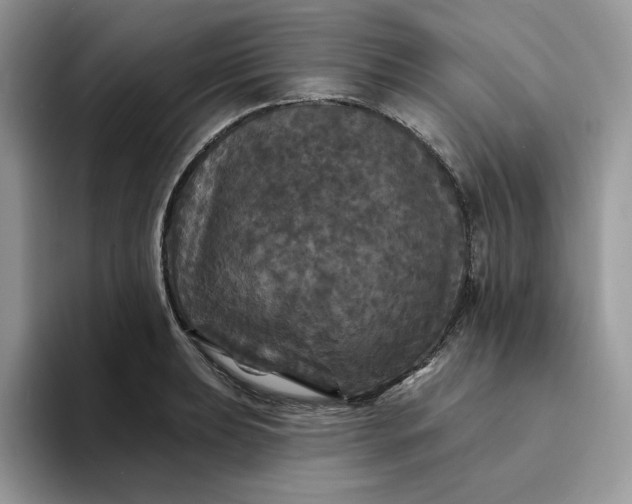 X0000094191039200711091157