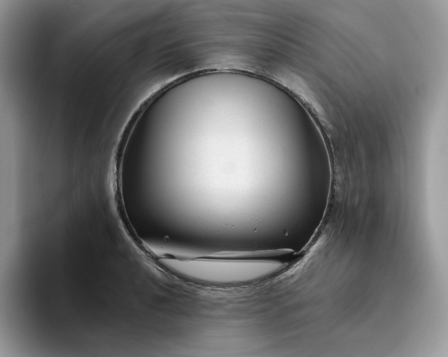 X0000094191040200711091157