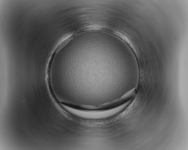 X0000094191042200711091157