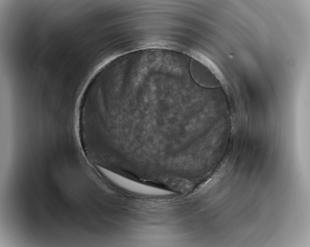 X0000094191043200711091157