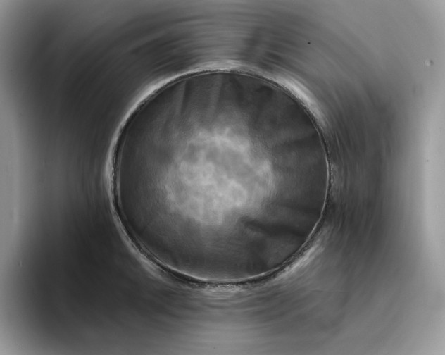 X0000094191046200711091157