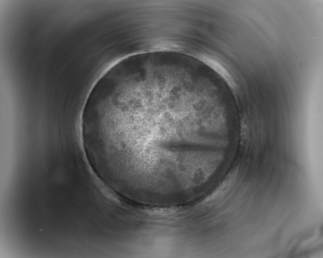 X0000094191047200711091157