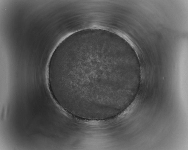 X0000094191048200711091157