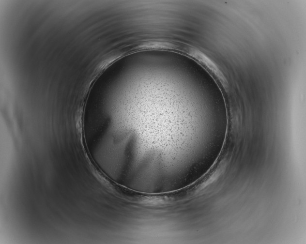 X0000094191049200711091157