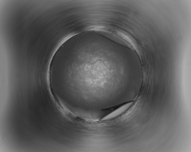 X0000094191050200711091157