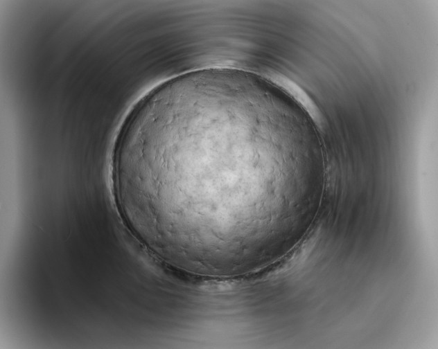 X0000094191051200711091157